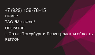 9291587815
